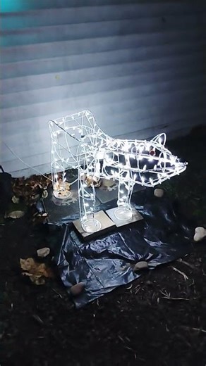 Christmas lights homemade #Christmas #Chrismaslights