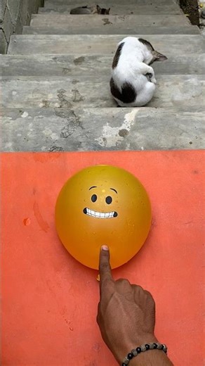 Experiment: Drop an emoji water balloon from the top of a ladder, which emoji balloon explodes?