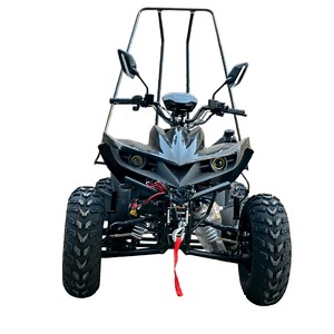[Hot Item] New & Used Sport/Utility/Youth/Adult/Kids Gas ATV 4X4 - 2/4-Seater Quad Bike & Buggy Motorcycle