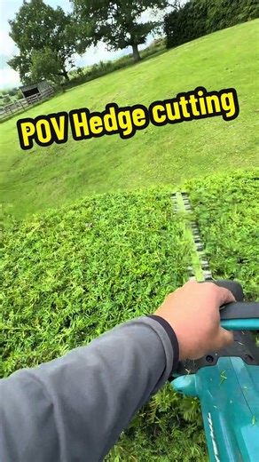 Best Hedge Cutting Techniques for a Perfect Garden