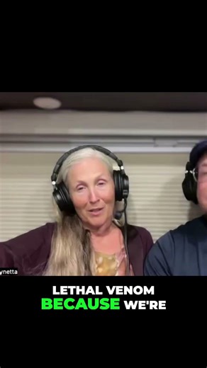 Authenticity & Validation: The Power of True Connection #shorts