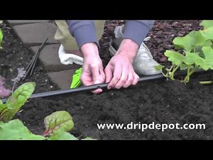 How To Install a Threaded Vortex Sprayer Into a Drip Irrigation System