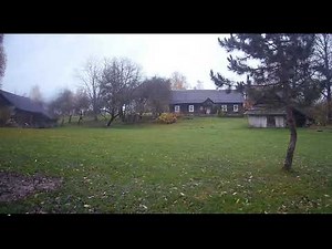 Danielių karaliavimo metas #damadama #wildlife #danieliai