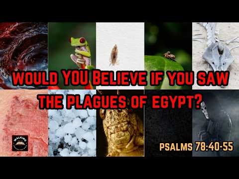 Does Seeing Miracles and Signs Guarantee Faith? | Psalms 78:40-55 | #bookofpsalms