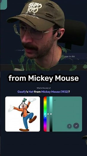 For real though, what is Goofy's hat?