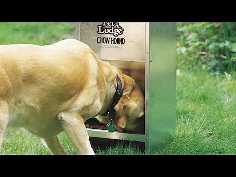 Pet-Lodge® Chow Hound Pet Feeders