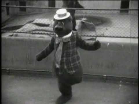 1972 The Feeling Humphrey | Channel 9 Ident