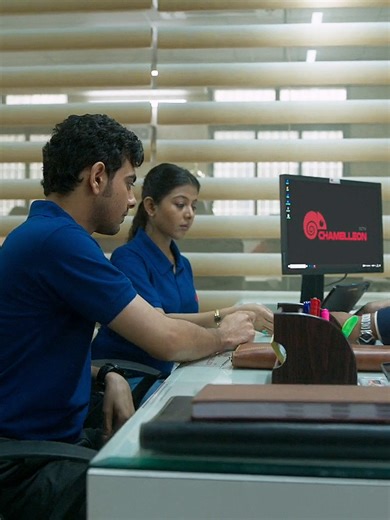 Explore the Best Panda Movies to Watch Now