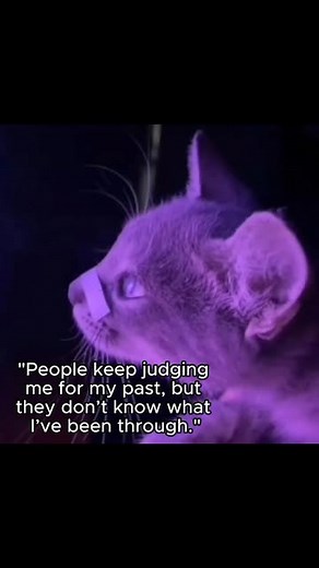 Wise Wizard Cat on Instagram: "Every scar tells a story, not of defeat but of survival. The world may look at our wounds and see pain, but we see resilience, strength, and the lessons that shaped us. Scars are not signs of weakness, they are reminders that we fought, endured, and overcame what once tried to break us. Growth comes from struggle, and healing is proof that we refused to stay broken. We do not hide our scars in shame, we wear them as symbols of victory. They are proof that even in o