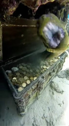 Deep Sea World Underground | Hidden Ocean Secrets Beneath the Earth