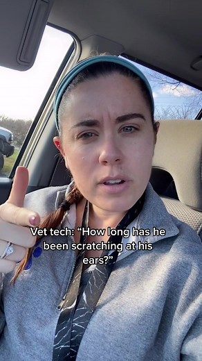 Kelly The Vet Tech on TikTok
