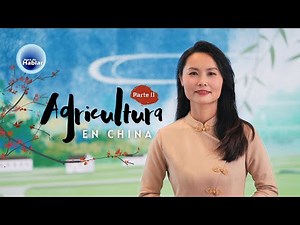 Agricultura en China: Tecnología e innovación adaptadas para la seguridad alimentaria