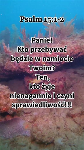 🌹 Jak codziennie wchodzić w Bożą obecność 🌎 #biblia #Duchowość #Obecność #Świętość