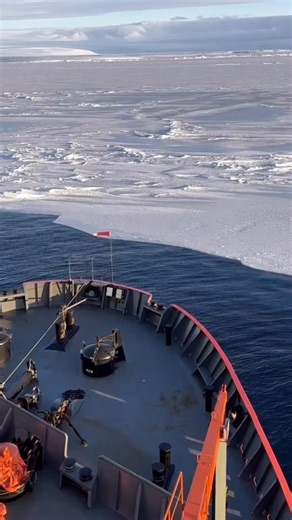 ❄️🚢 A Frozen Ocean Like Never Before | Antarctica Magic 🇦🇶#shorts