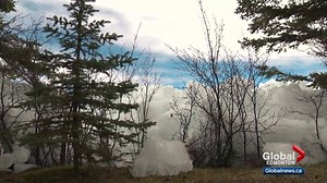 55K views · 371 reactions | WATCH: It's a reminder of the power of...