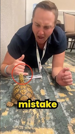 NEVER Do This If a Snapping Turtle Bites You! 🐢 #shorts