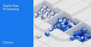 Digital Risk Processing