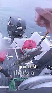 Lingcod fishing with the Okuma ECS Custom 7'10"