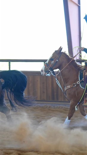 Always Texan. Always Trusted. | First Financial Bank Texas