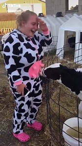 46K views · 1.1K reactions | This is so sad!  Veal calves are ripped from their mothers after only hours or days. So this calf believes the fake udders are real and tries to get milk.  The unnatural, heartbreaking lives we force farm animals to face must change.  | John Oberg | Facebook