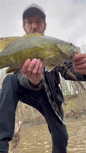 Smallmouth Bass fishing #spring #fishing #ytshorts #youtubeshorts #subscribe #viral