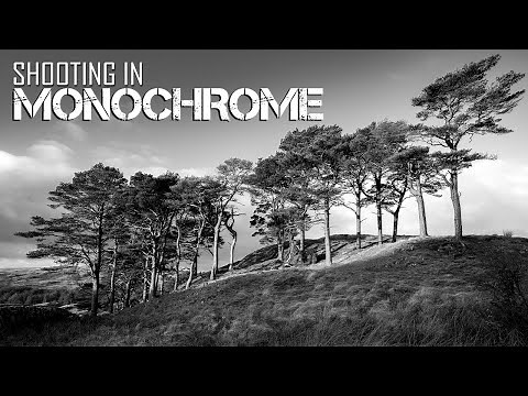 Shooting in Monochrome. Black and White Photography