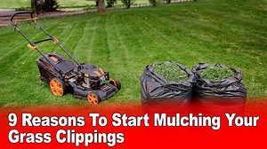 9 Reasons To Start Mulching Your Grass Clippings