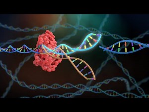Guide to CRISPR Technology: Overview and Applications (2 Minutes)