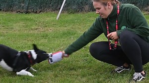 11K views · 151 reactions | Edinburgh Evening News on Reels | Facebook