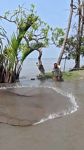 Big River castnet fishing videos. #reels #fishing #fish #village #fishinglife #villagelife #FishingDaily #CastNetFishing | BD Fishing Daily