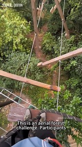 High-Rope Forest Adventure — Do You Dare? #高空索道 #森林探险 #高空挑战 #勇气挑战 #ForestAdventure #HighRope #AerialAdventure #DoYouDare #OutdoorFun #ThrillSeekers | Billion View