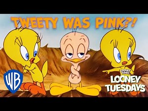 Looney Tuesdays | Interesting Facts You Didn't Know About Tweety | Looney Tunes | @WB Kids