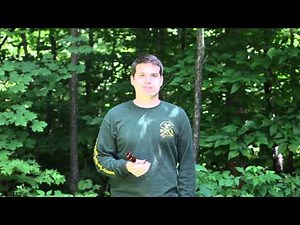 Double Reed Duck Call Demo