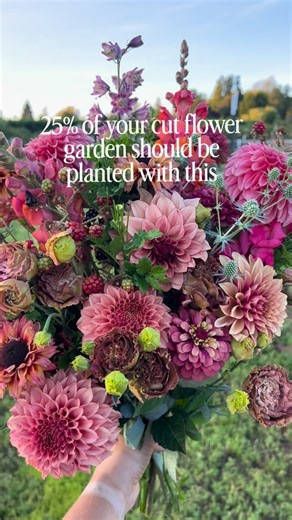 Galena Berkompas • Urban Flower Farm • Education on Instagram: "Every year, at least 25% of my cut flower rows are dedicated to some type of foliage. It adds texture, depth, interest, and a bridge between different flowers in every single bouquet! My all-time favorite is raspberry foliage. I live in an area that is perfect for berry growing, so it does exceptionally well here. Raspberry foliage also lasts over 2 weeks once cut. The downside is that it takes a year to really establish. Because we