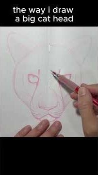 Drawing a big cat head
