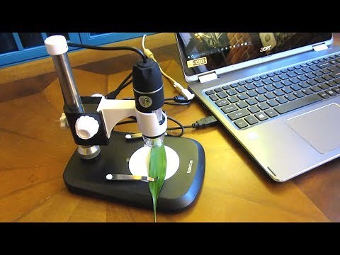 Koolertron USB Digital Microscope | How to Use Microscope