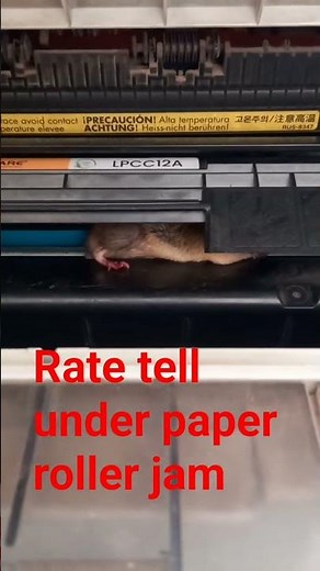 hp m1005 printer rat damage how to protected printers