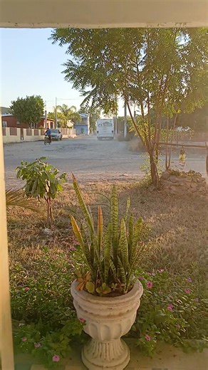 Armida Gallardo on Reels