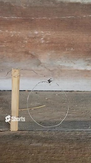 How the Snare Locks Work on the Jamie Burleigh Signature Card Check out our bio for more information or just go to http://www.grimworkshop.com?utm_campaign=meetedgar&utm_medium=social&utm_source=meetedgar.com #grimworkshop #getgrim #survivalcard #whatsinyourpocket #everydaycarry #edc #edckit | Grim Workshop