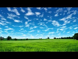 4K Beautiful Landscape Garden l Copyright Free Nature Background Video