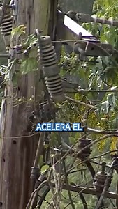 ¿MAYOR PRESUPUESTO? Luma justifica su petición de aumento. | Telemundo PR