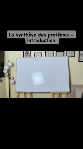 Maimoun Kenssi on Instagram: "La synthèse des protéines - introduction 🩺"