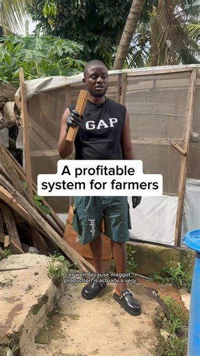 45K views · 1K reactions | These maggots are the only hope of survival, especially for the African farmer | Bempet Organic Farm | Facebook