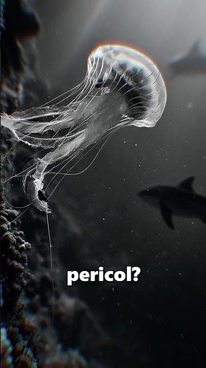 The Biological Secret of the Immortal Jellyfish #documentary #science