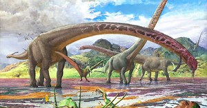 Des chercheurs identifient le dinosaure au cou le plus long jamais découvert
