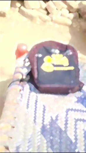 AYF High School Life Highlights