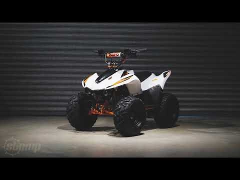 Kayo Fox AY70-2 Overview - Stomp Distribution Ltd