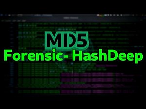 Forensic with HashDeep on Kali Linux 🙂