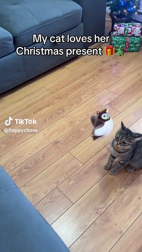 Cat's Favorite Christmas Gift: A Delightful Toy Bird