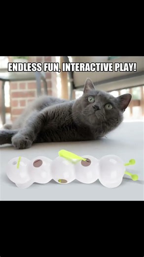 Watch Your Cat Go CRAZY for This Caterpillar Toy!